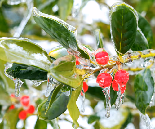 Item #60286361363657250857601775030637471218171117852543341295073303946980799545345 Media