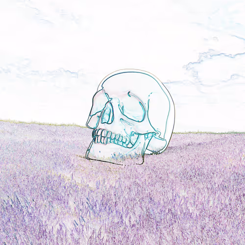 SkullsBackSkulls - 4