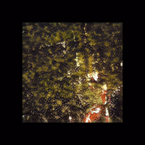 Item #5226173567243613710685186182573715388889274590770803527898219894372162338817 Media