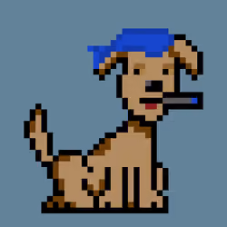PunkDog #463