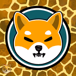Shiba Raffy