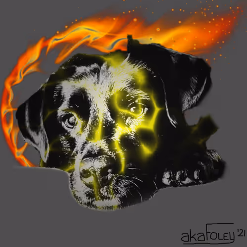 Digi Dawg