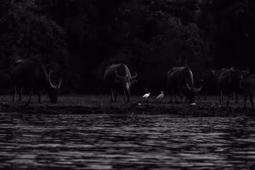 Item #105679162715773690367894814568251153202929894369313826483118647865281230143493 Media