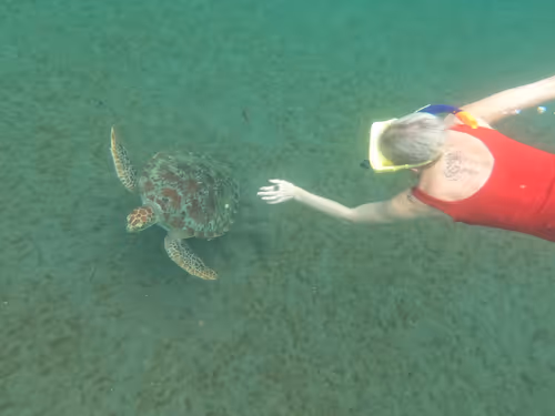 Item #57636846716625674083637003599082399011400728335992986804098864714286435926017 Media