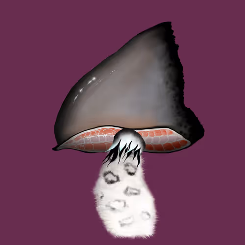 Item #46034849265832991985054005845495595569977159826723230396281255962589748264961 Media