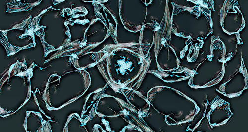 Item #53038436591932579343586172736499089180511311350926828846712654429541256658945 Media