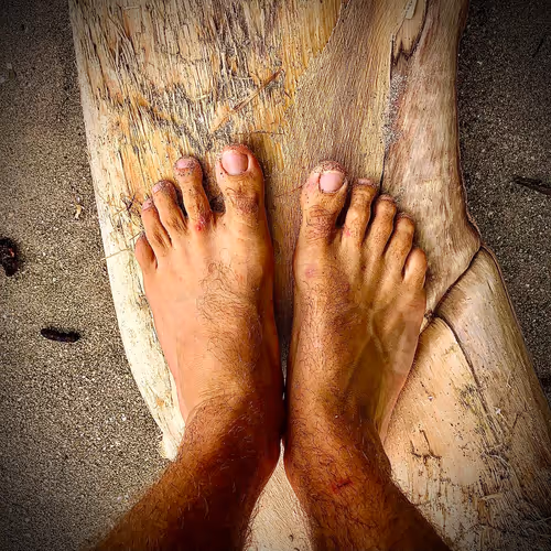 78021035901715520194924775622650316392600202825631748760738384801496077172737