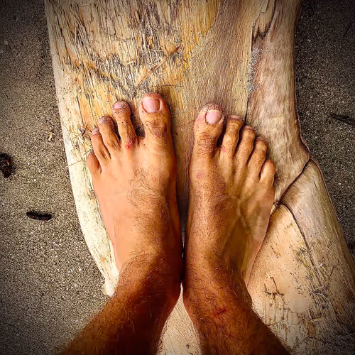 Item #78021035901715520194924775622650316392600202825631748760738384801496077172737 Media