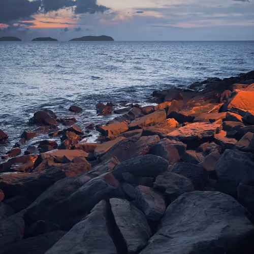 BugCollecterEx Collection