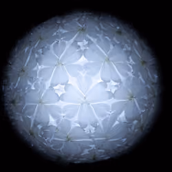 Flower_may