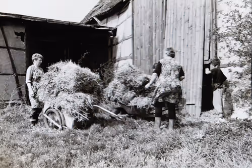 Item #105615228091736436910695968411395425794565690672177444720291627168969938436097 Media