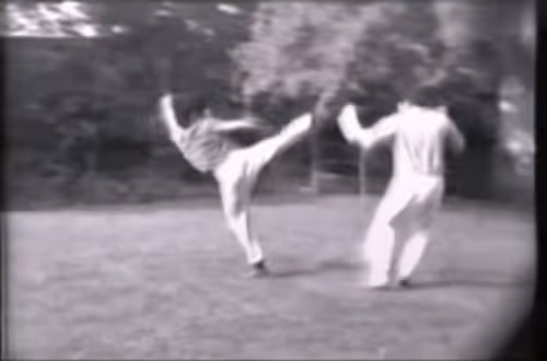 Item #1643078040811062834675010735603562418294476702946501535589901449669300453377 Media