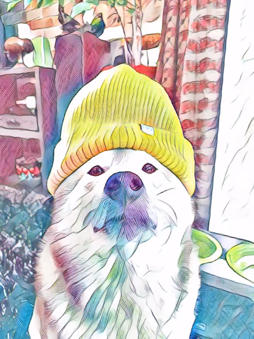 Item #48294251202362443440635964745477949159686229301689109113357186563239321796609 Media