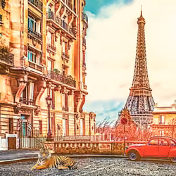 #Paris