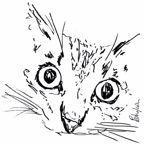 Item #32954441731299376852378741938504312010272157862510914316537680052625705271297 Media