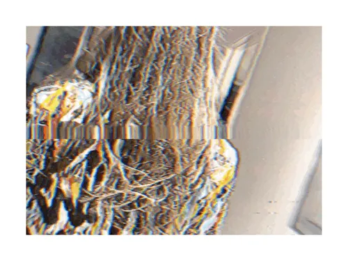 Item #53378306120356244081953750170339555832965982504986806923662429646722785345537 Media