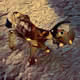 114729415128503412071840222707161156439015829240097901445317223445760279838721