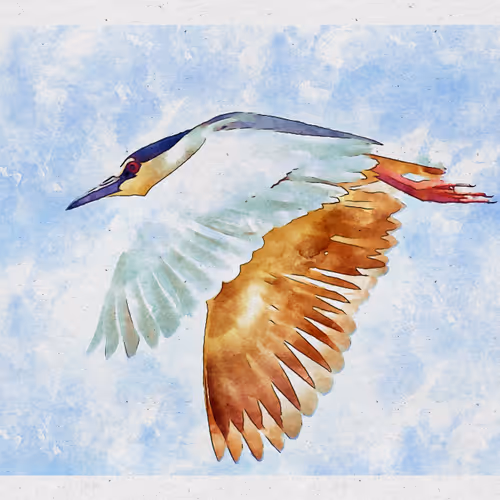 55704534837685659622621715309832868758345944585427688586690141419062389899265