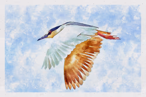 Item #55704534837685659622621715309832868758345944585427688586690141419062389899265 Media