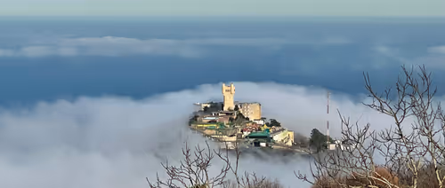 Item #80071256485476644989088818969487643021348870413241562376269146256431252504577 Media