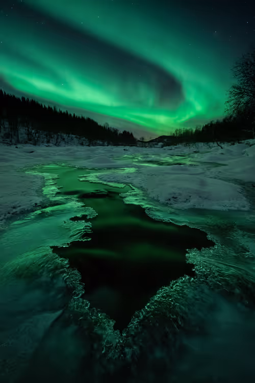 Item #88000790738585356177906877532357843810650647350531678193929358443030907977729 Media