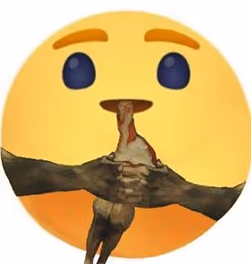 Untitled Collection #91577849