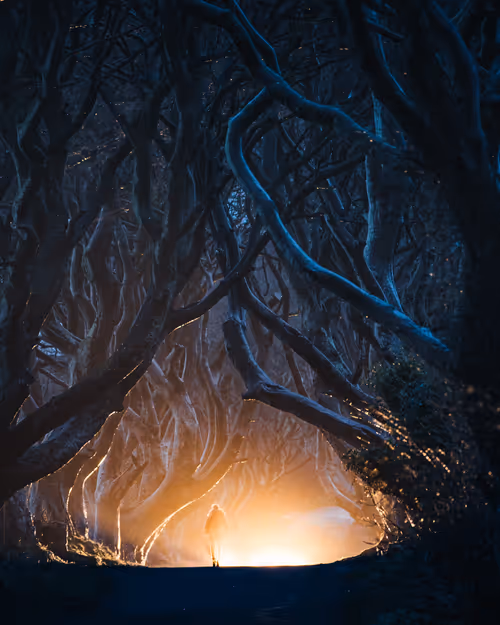 Item #14416656700475663864726672344569766568452912279528818547653479136229192630273 Media