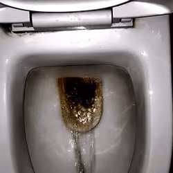 12660136923828748263426703316480839463053827608546839420335323839293923786753