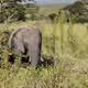 33884978773652834998492452678806383072382496266847956265453593673289082863617