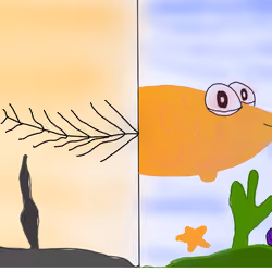 Sealife