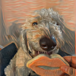 DoggiePunk💋