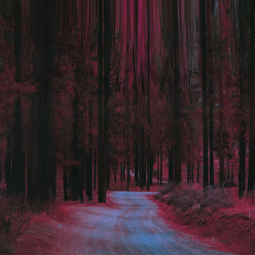 Talking to the Trees