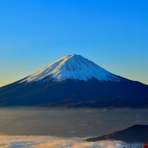 Fujisan_Axie Collection