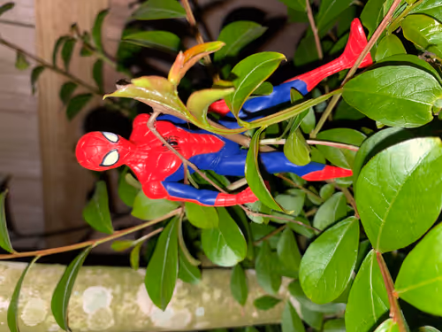 Item #25350083611604470530281593362228819369712463321341820751446110018719600082945 Media