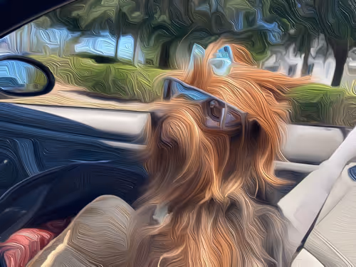 Item #24641453839621982763882949117927398230661196561047831968327781244212808253441 Media