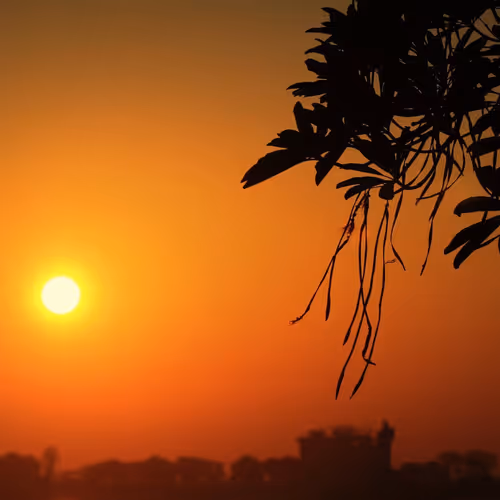 Bobbyblue Collection