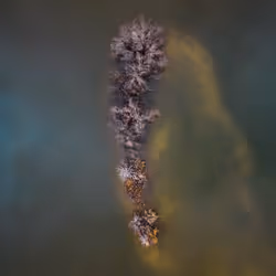 100600280271040798317723628260513137156606623100883316454227272150756500701185