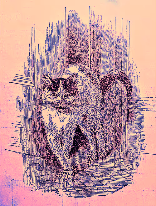 Item #35247308013863639916483757756408588227786114589757564733366544668297399369758 Media