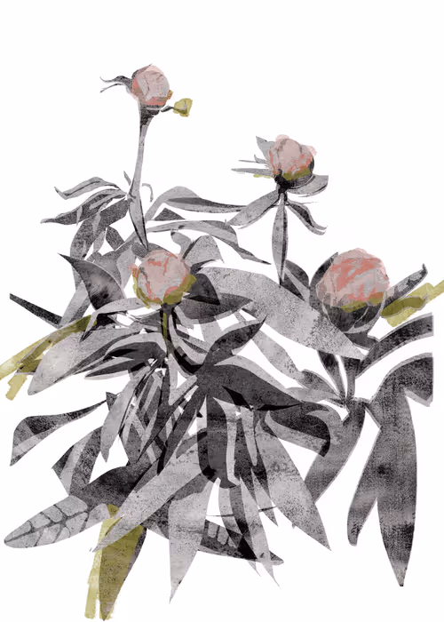 Item #36677197278733282434979004618714467068375419752773231098231422653257232678927 Media