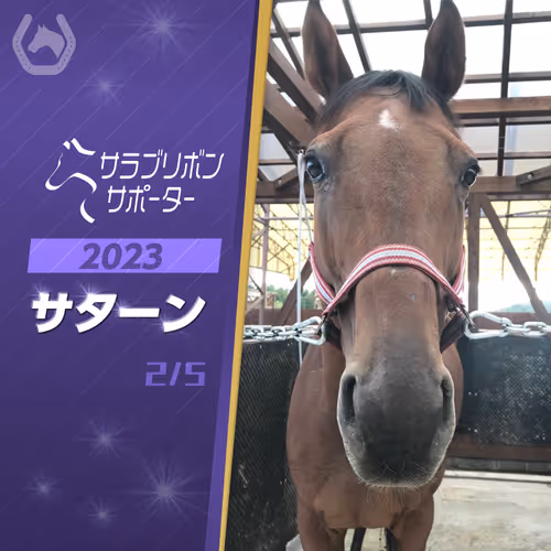 Item #32261650021671989586304276228843745151688097955636395340171962803939608363009 Media