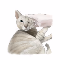0_<