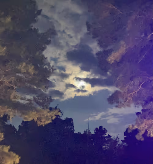 Item #42060316443796044655874448796589109731243459605113798624793464033877216460801 Media