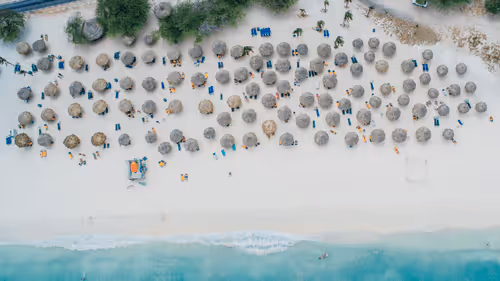 Item #42392629479489844342041238992722917738846266966173652433249185907643554725889 Media