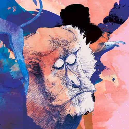 Item #5629565881579368983166495237263344266879989081391391318443702100482704015361 Media