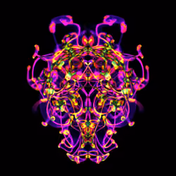 Rorschach Ink Blot #22