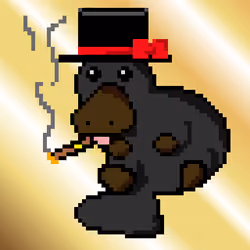 PlatyPal #003