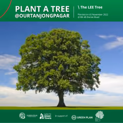 Test Tree @ Our Tanjong Pagar