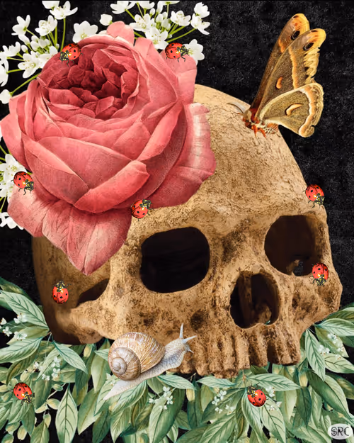 Item #16599434367451058115707105163627724779957849241195023571880980348046206304257 Media