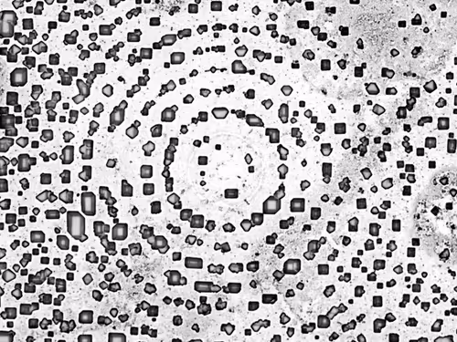 Item #88425369129469894980589771095889463825406609439564309002072926019194001031169 Media