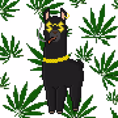 Item #33471077740815336644207333630678705806324114697619059550958109159591598096385 Media